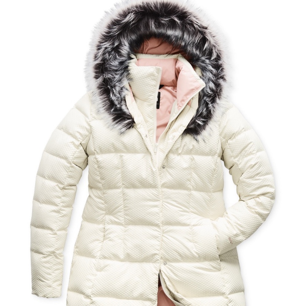 The North Face Dealio Down Parkina
